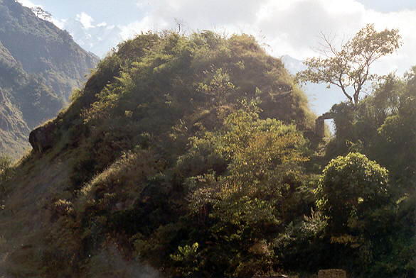 Rukse Chhahara