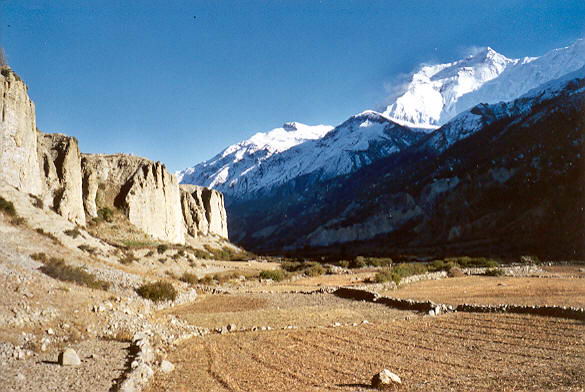 Manang