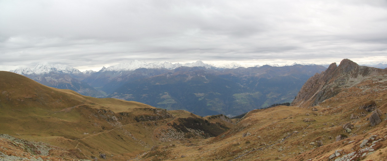 Panorama