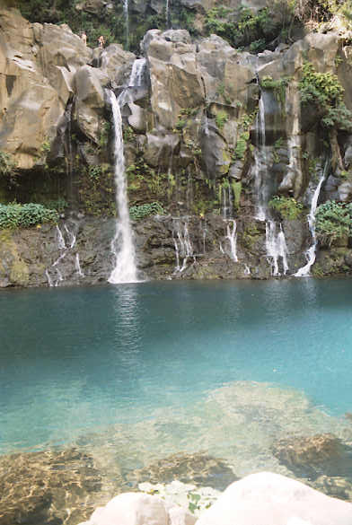 Bassin des Aigrettes