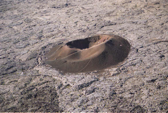 Formica Léo