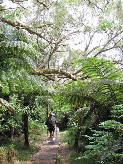 Chemin