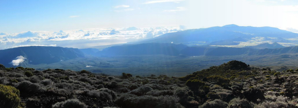 Panorama