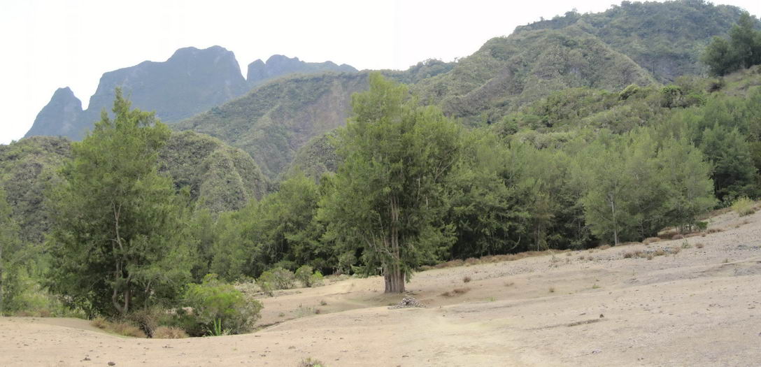 Clairière