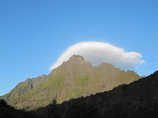 Piton