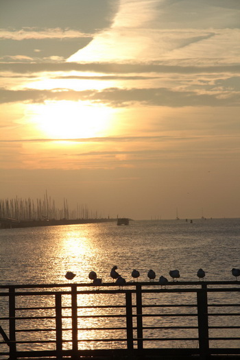 Coucher de soleil sur la mer