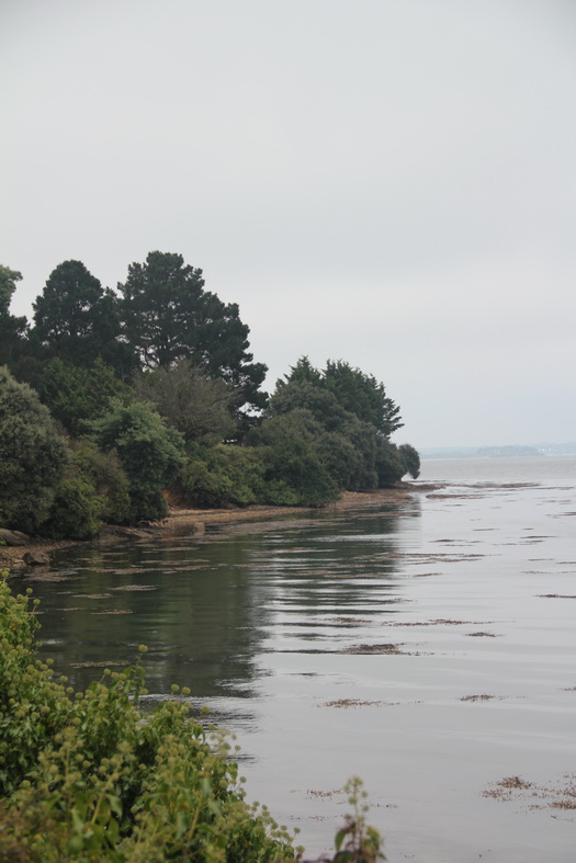La côte