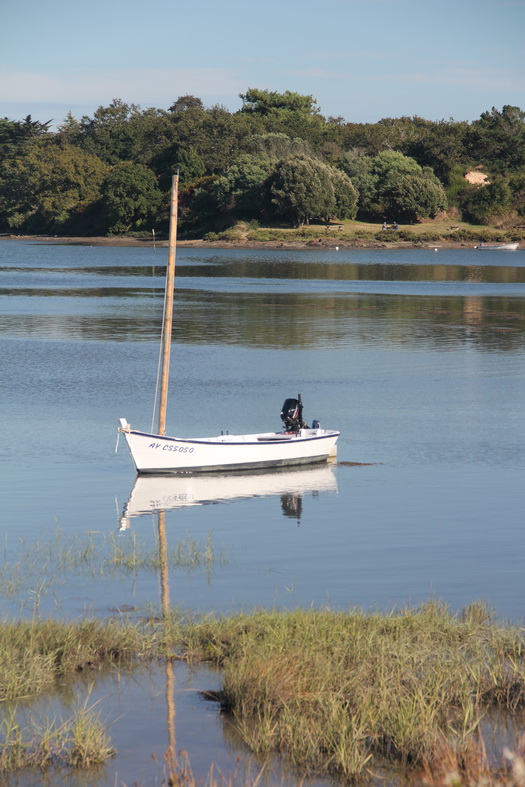 Bateau