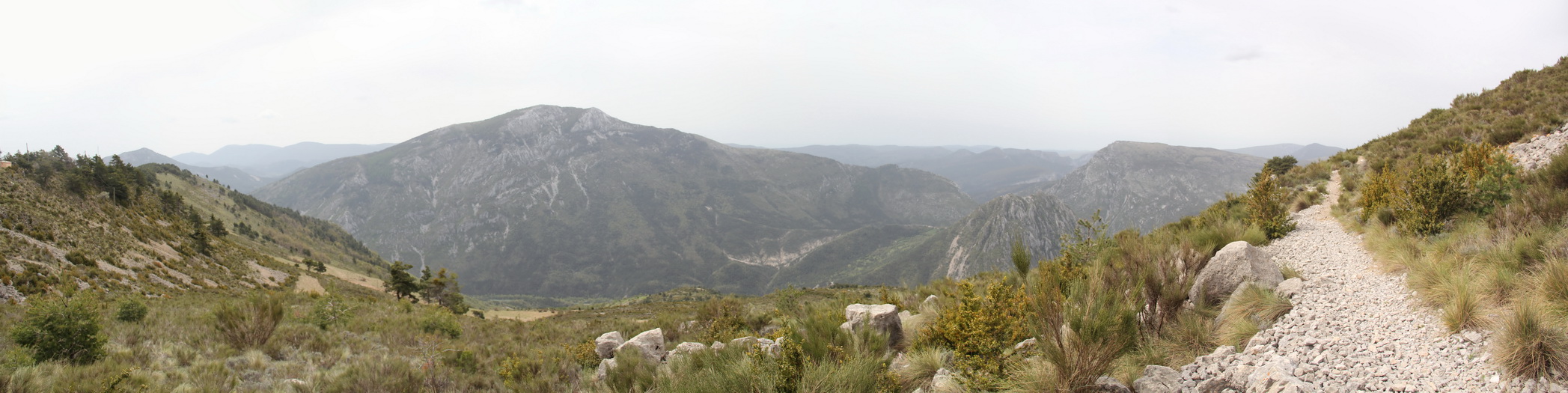 Panorama