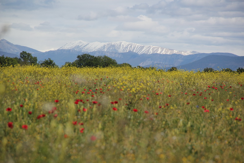 Paysage